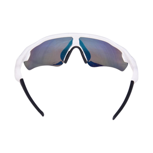 DSC Glider Sunglasses_676ce3d7c76ee.webp